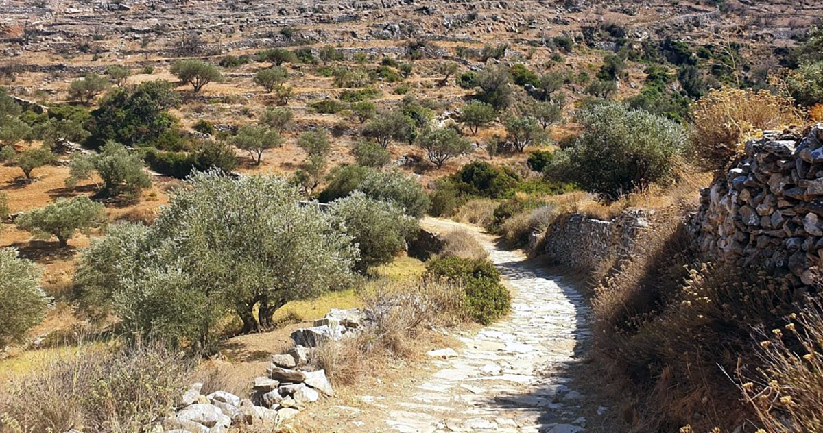 Πεζοπορίες